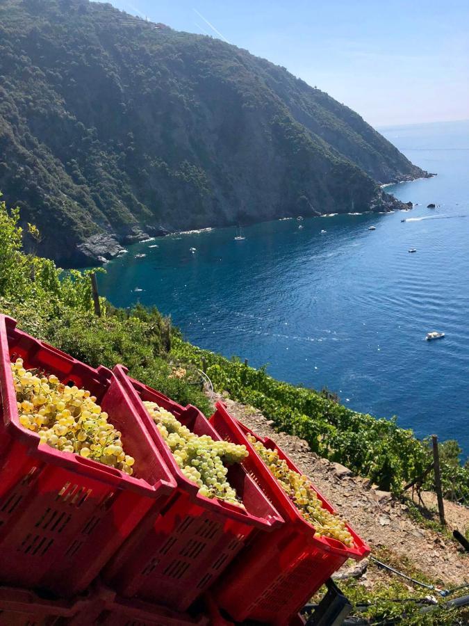 Apartament Casa Natalina Monterosso al Mare Zewnętrze zdjęcie